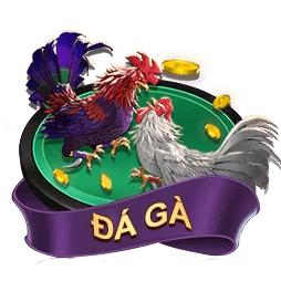 Đá Gà S666