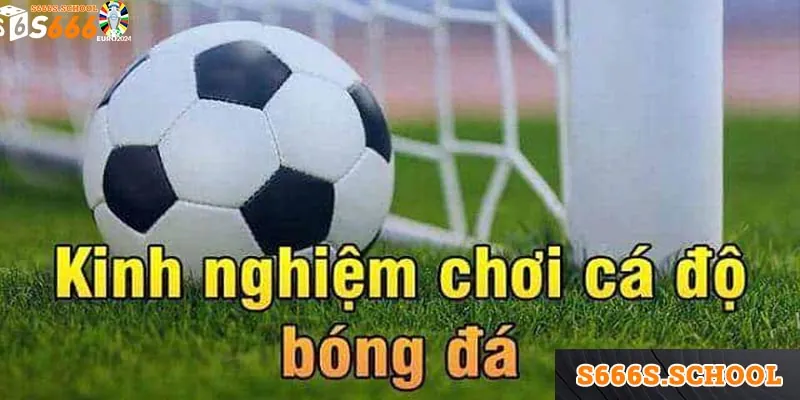 Những kinh nghiệm chơi kèo Bundesliga chuẩn cao thủ Những kinh nghiệm chơi kèo Bundesliga chuẩn cao thủ